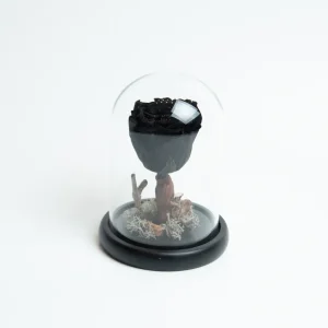 Forever Rose Black Small