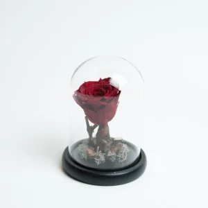 Forever Rose Red Small